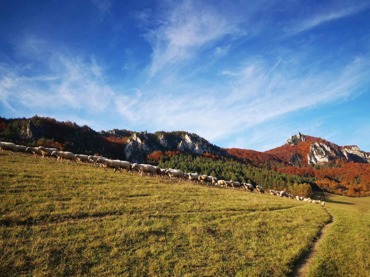 Villa Koliba Pod Skalami Sulov Esterno foto